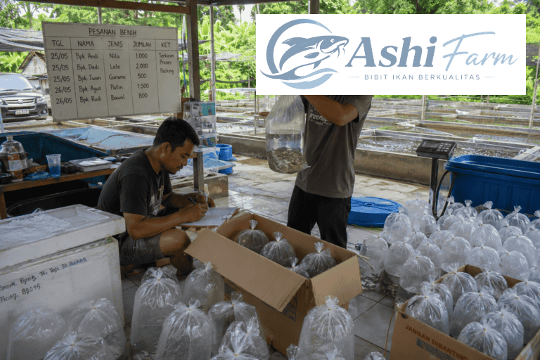 pesan bibit ikan air tawar